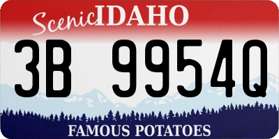 ID license plate 3B9954Q