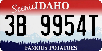 ID license plate 3B9954T