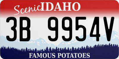 ID license plate 3B9954V
