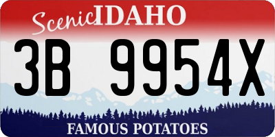 ID license plate 3B9954X