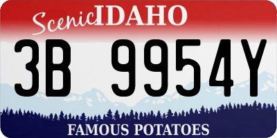 ID license plate 3B9954Y