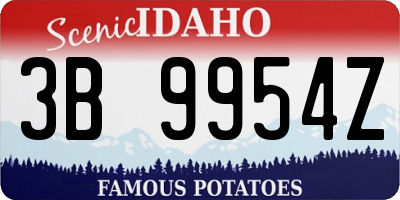 ID license plate 3B9954Z