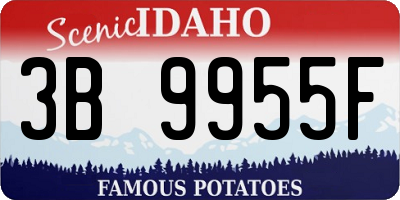 ID license plate 3B9955F