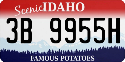 ID license plate 3B9955H