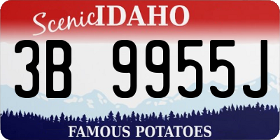 ID license plate 3B9955J