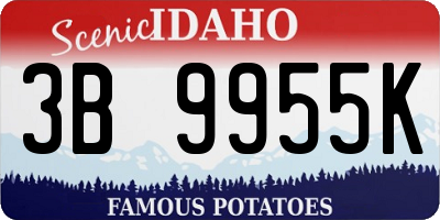 ID license plate 3B9955K