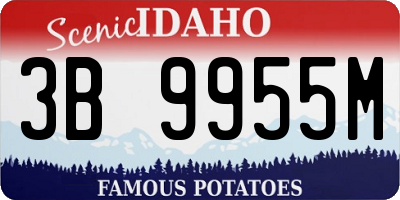 ID license plate 3B9955M