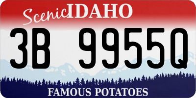 ID license plate 3B9955Q