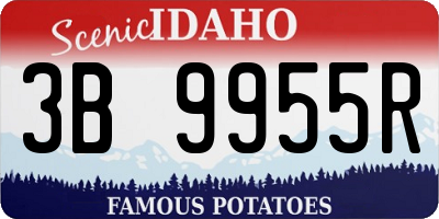 ID license plate 3B9955R