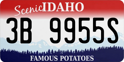 ID license plate 3B9955S