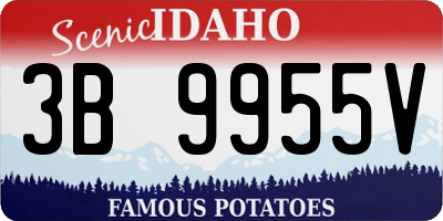 ID license plate 3B9955V