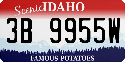 ID license plate 3B9955W