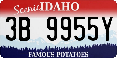ID license plate 3B9955Y