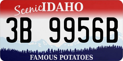 ID license plate 3B9956B