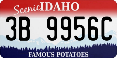 ID license plate 3B9956C