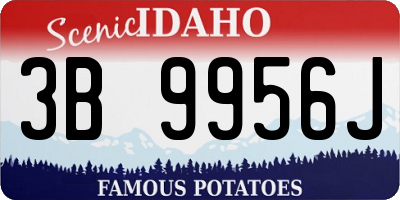 ID license plate 3B9956J