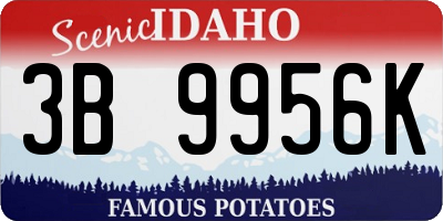 ID license plate 3B9956K