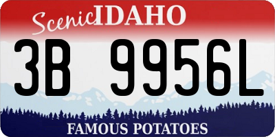 ID license plate 3B9956L