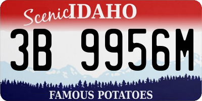 ID license plate 3B9956M