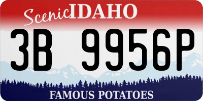 ID license plate 3B9956P