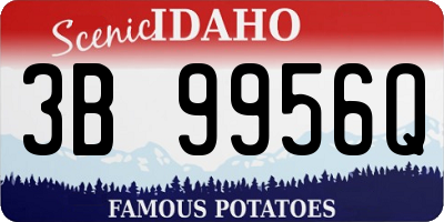 ID license plate 3B9956Q