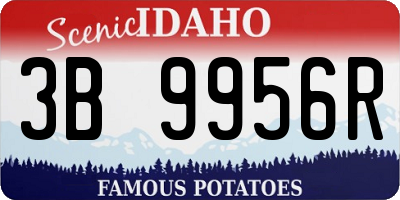 ID license plate 3B9956R