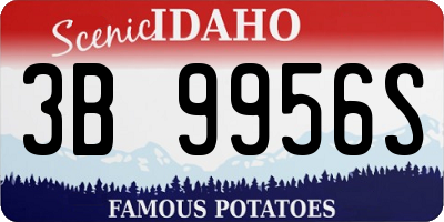 ID license plate 3B9956S