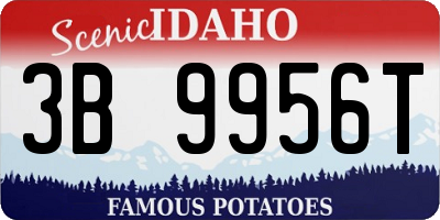ID license plate 3B9956T