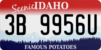 ID license plate 3B9956U
