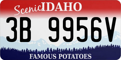 ID license plate 3B9956V