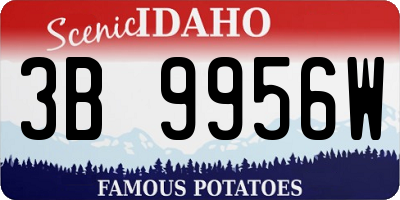 ID license plate 3B9956W