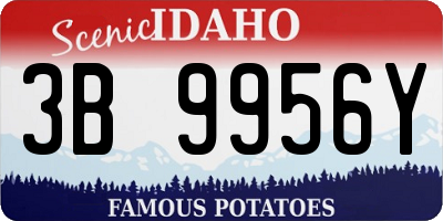 ID license plate 3B9956Y