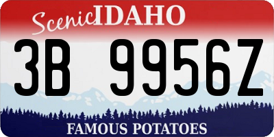 ID license plate 3B9956Z