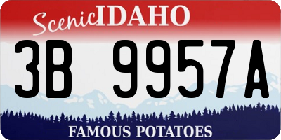 ID license plate 3B9957A