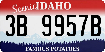 ID license plate 3B9957B