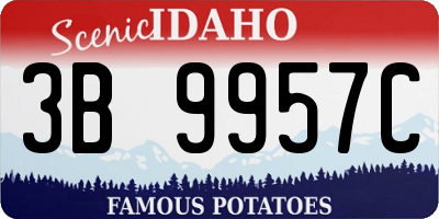 ID license plate 3B9957C