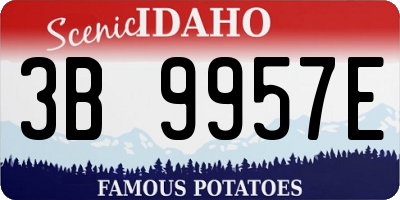 ID license plate 3B9957E