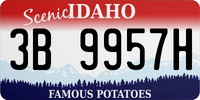 ID license plate 3B9957H
