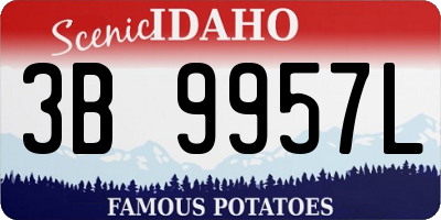 ID license plate 3B9957L