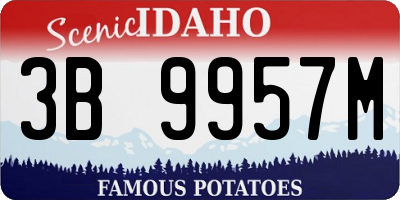 ID license plate 3B9957M