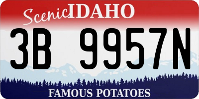 ID license plate 3B9957N
