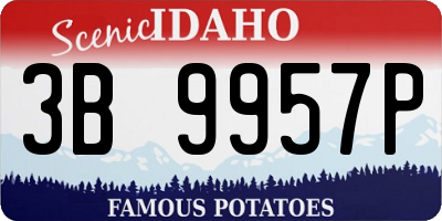 ID license plate 3B9957P