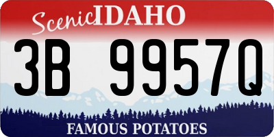 ID license plate 3B9957Q