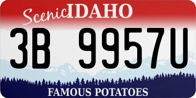 ID license plate 3B9957U
