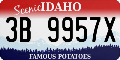ID license plate 3B9957X