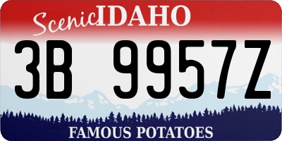 ID license plate 3B9957Z