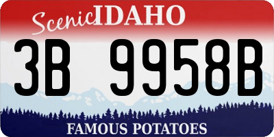 ID license plate 3B9958B