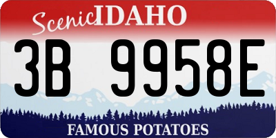 ID license plate 3B9958E