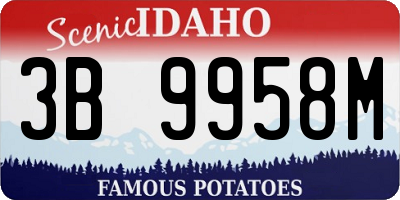 ID license plate 3B9958M
