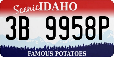 ID license plate 3B9958P